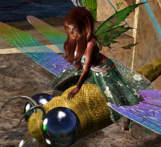 Fayble on a
Dragonfly